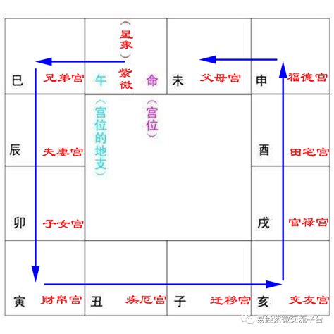 紫微方位|紫微斗数命盘解读